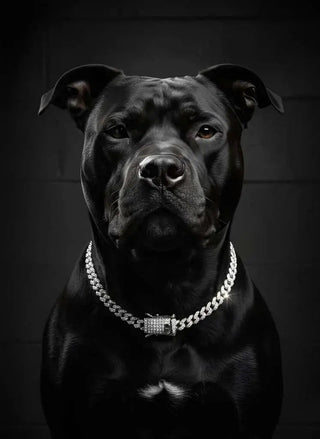 CUBAN CHAİN ERKEK KOLYE BİLEKLİK SET - Babil Takı